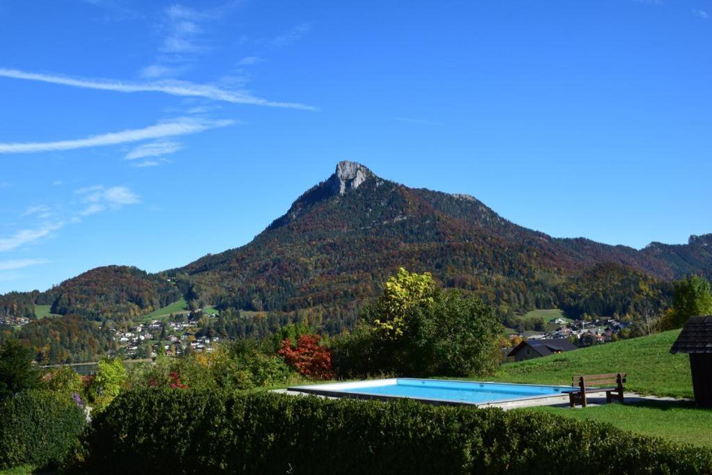 Gasthuis Pension Hohenau