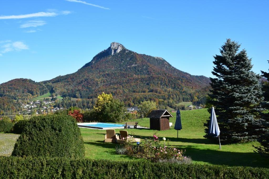 Pension Hohenau 3*
