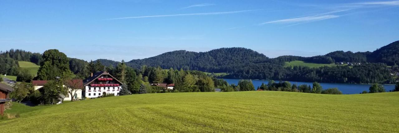 Gasthuis Pension Hohenau Fuschl am See